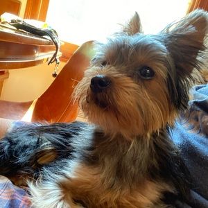 Meet your Posher, Michael